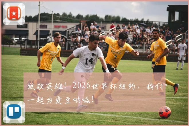 致敬英雄！2026世界杯纽约，我们一起为爱豆呐喊！
