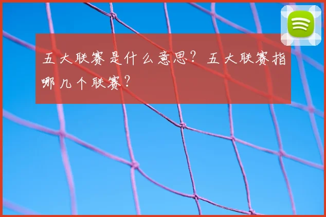 五大联赛是什么意思？五大联赛指哪几个联赛？