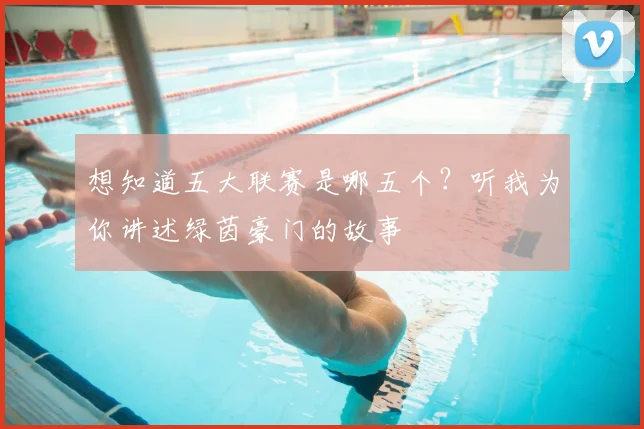 想知道五大联赛是哪五个?听我为你讲述绿茵豪门的故事