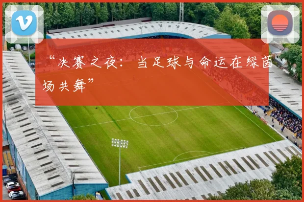 “决赛之夜:当足球与命运在绿茵场共舞”