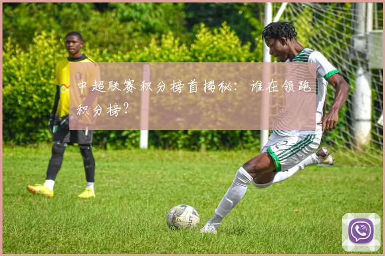 中超联赛积分榜首揭秘：谁在领跑积分榜？